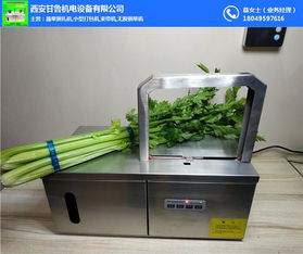甘魯機(jī)電小型蒜苔捆扎機(jī) 助力五金交電領(lǐng)域高效農(nóng)業(yè)作業(yè)